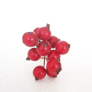 Mazzolino bacche grandi per composizioni Natalizie. Ogni mazzolino è composto da 12 bacche con diametro di 14 mm circa.