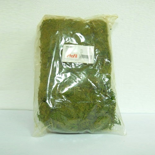Muschio verde in pacchi da 70 gr. Ideale per composizioni Natalizie